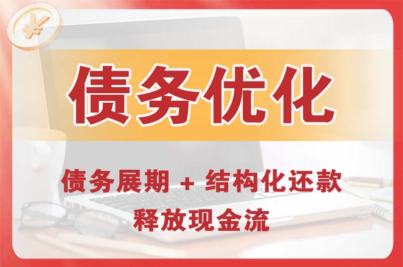拜城债务优化